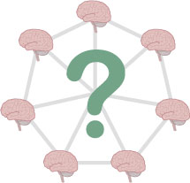 Brain Network