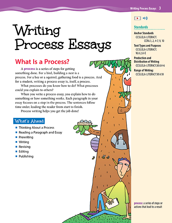 What is a process essay?