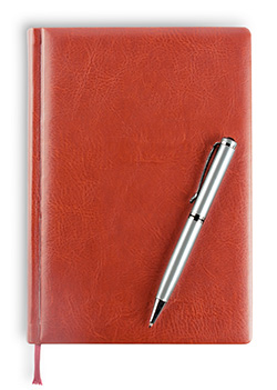 Writing a Diary of a Famous Figure a diary