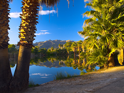 California landscape