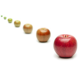 a line of apples transition from unfocused to focused