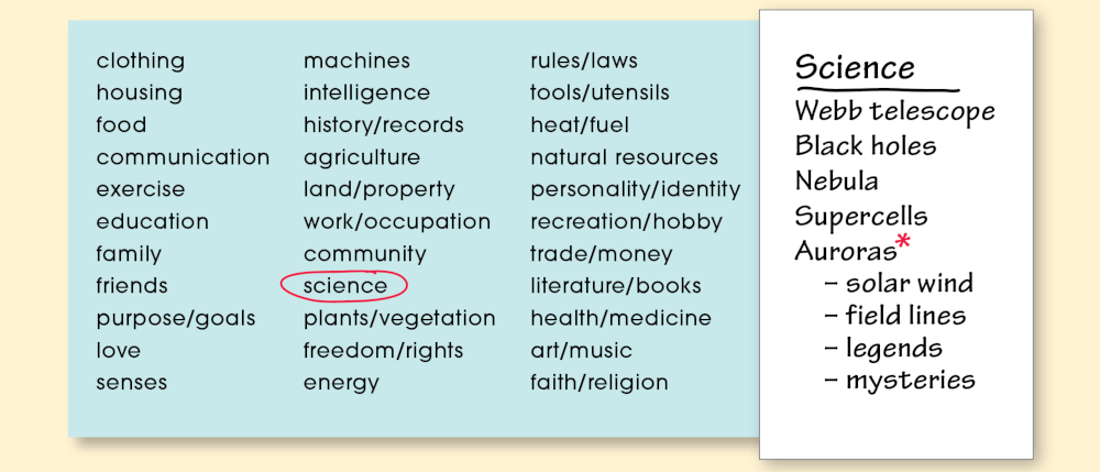 Pattern of Organization