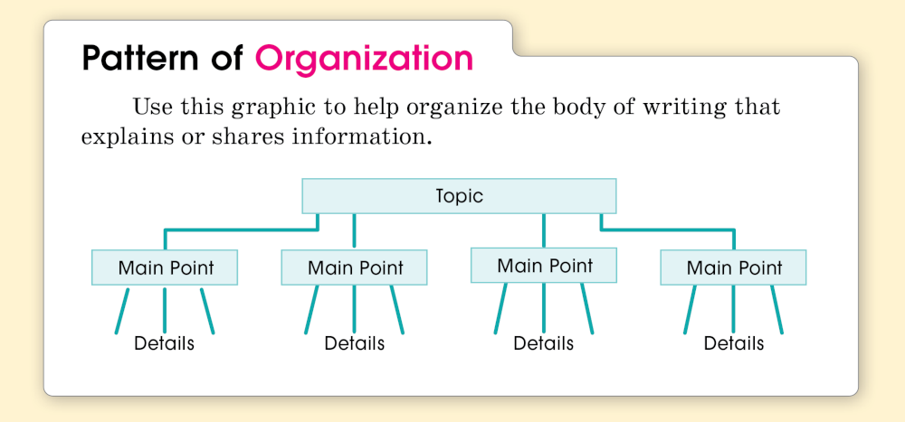 Pattern of Organization