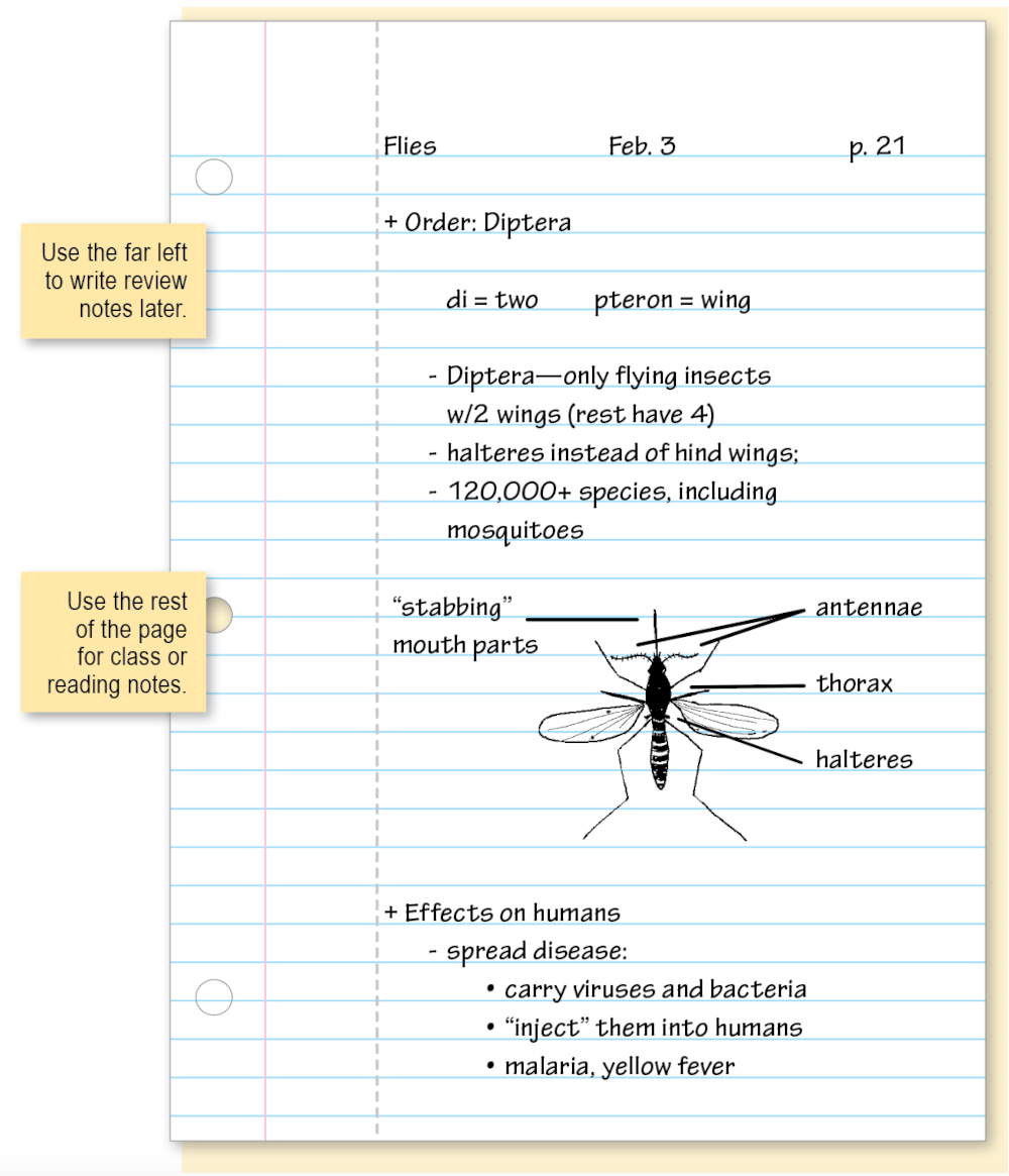 Two-Column Notes