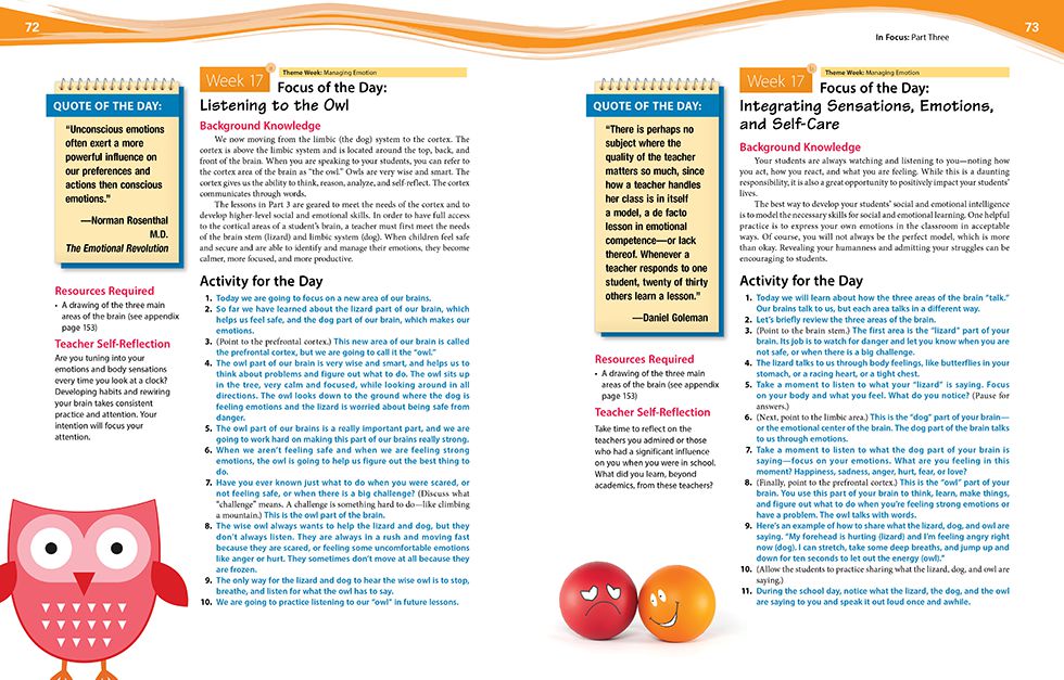 In Focus (Grades K-2) Pages 72 and 73
