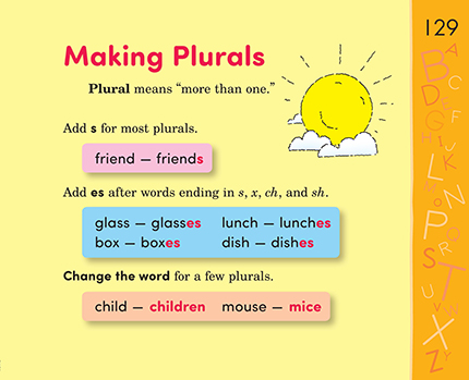 29 Making Plurals