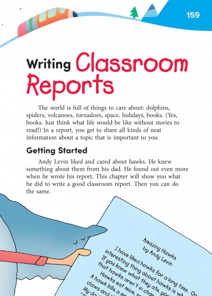 writing a education report