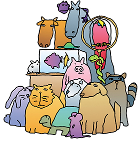 animals