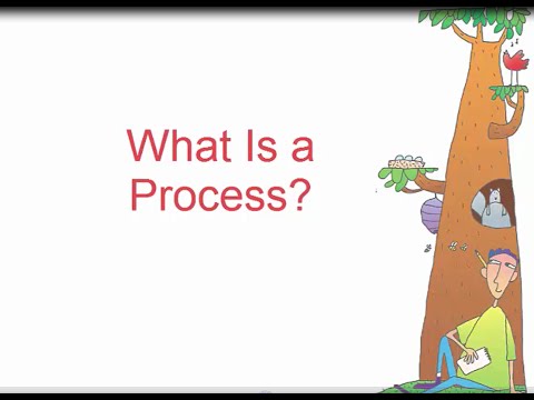 a process essay meaning